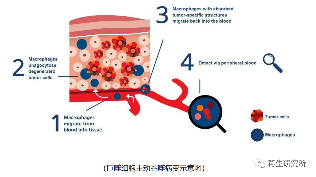 &#67;&#81;&#57;&#30005;&#23376;&#40;&#20013;&#22269;&#41;&#20114;&#21160;&#30334;&#31185;